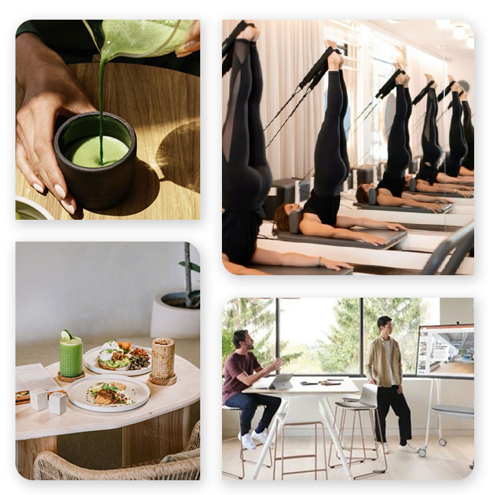 Wellness & Lifestyle